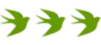 swallow icon